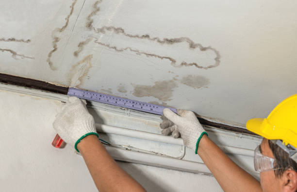 Reliable Mold Remediation contractor in Wynnewood, OK by Water Damage Irwin